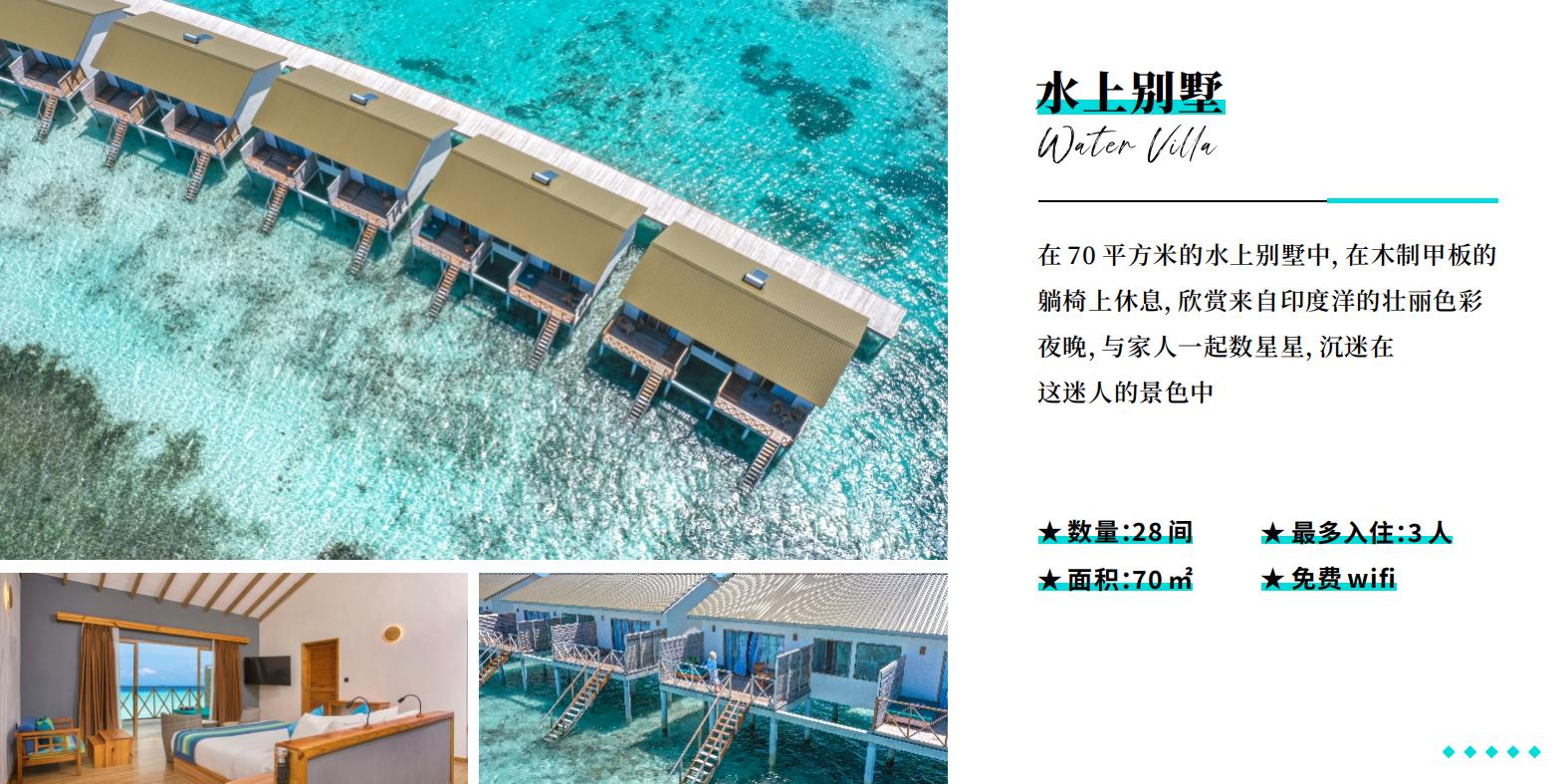 南棕櫚島 酒店中文介紹_08 南棕櫚島 酒店中文介紹_08