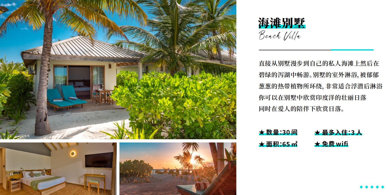 南棕櫚島 酒店中文介紹_06 南棕櫚島 酒店中文介紹_06