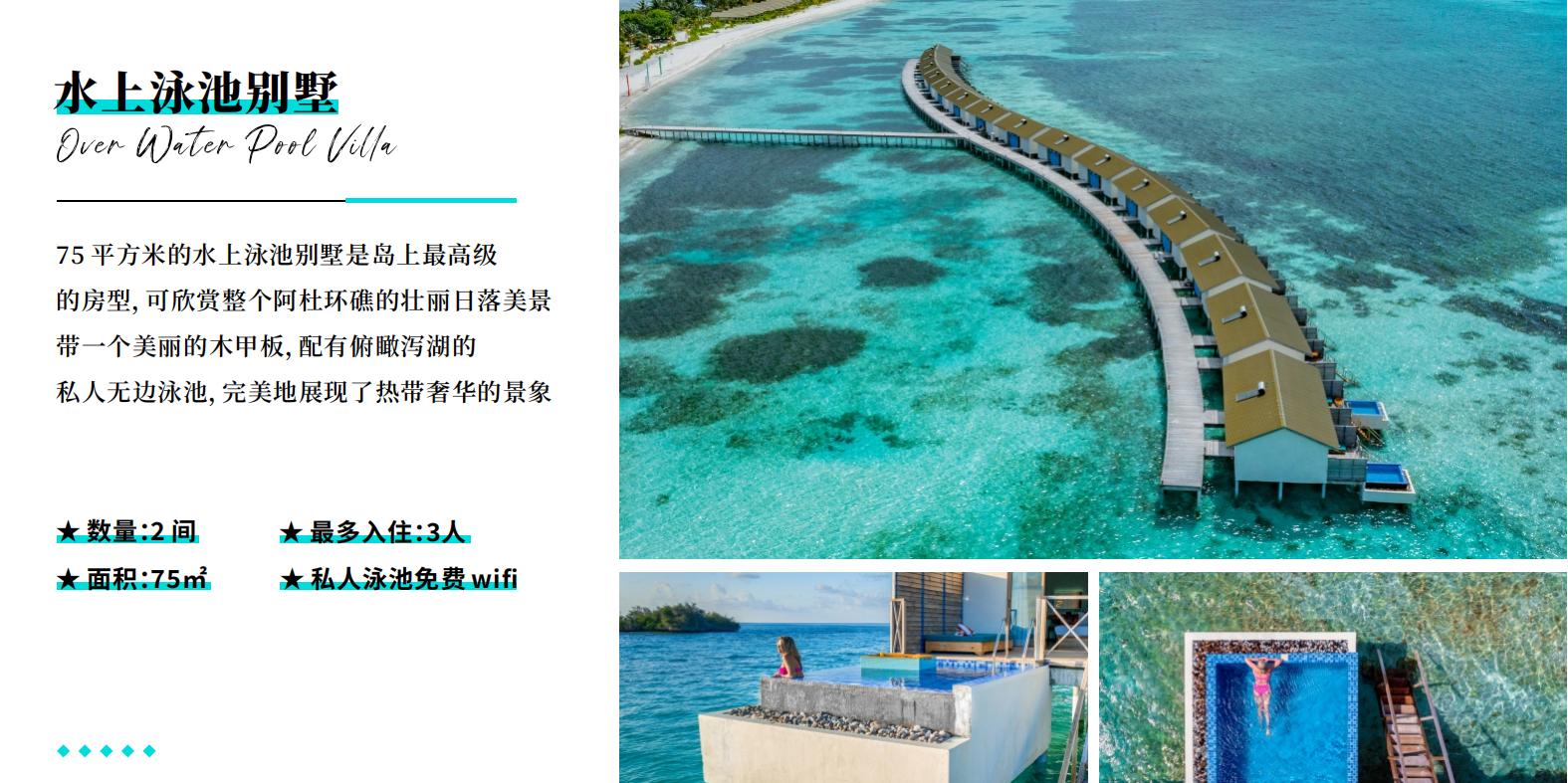 南棕櫚島 酒店中文介紹_09 南棕櫚島 酒店中文介紹_09