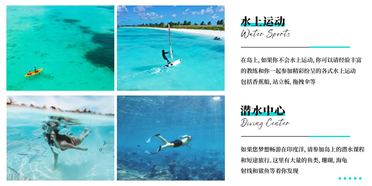 南棕櫚島 酒店中文介紹_15 南棕櫚島 酒店中文介紹_15