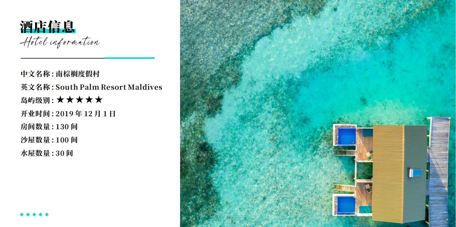 南棕櫚島 酒店中文介紹_03 南棕櫚島 酒店中文介紹_03