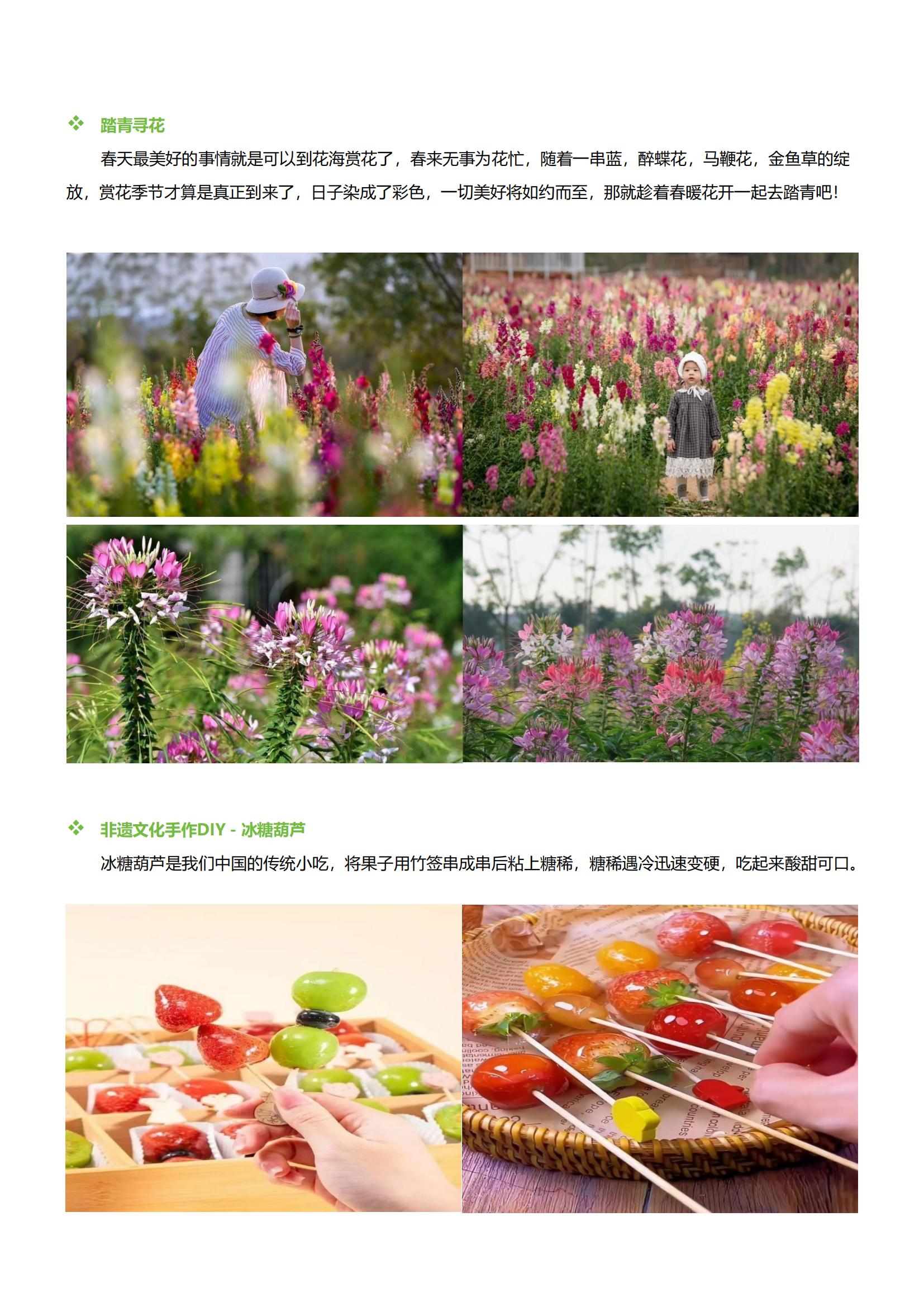 我為春天充“植”春游行程方案-2_03