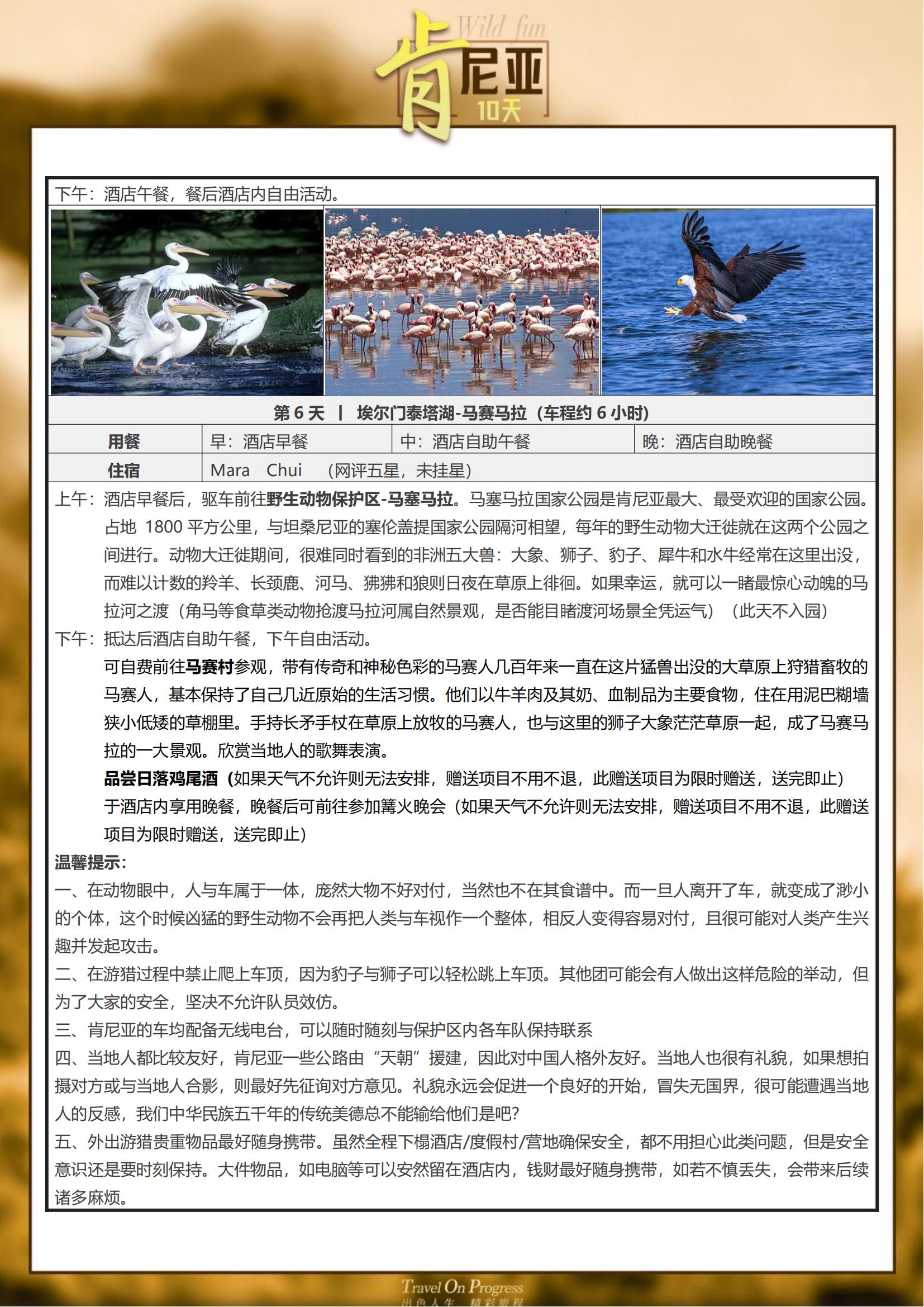 (2025版本）TOPTOUR-_02