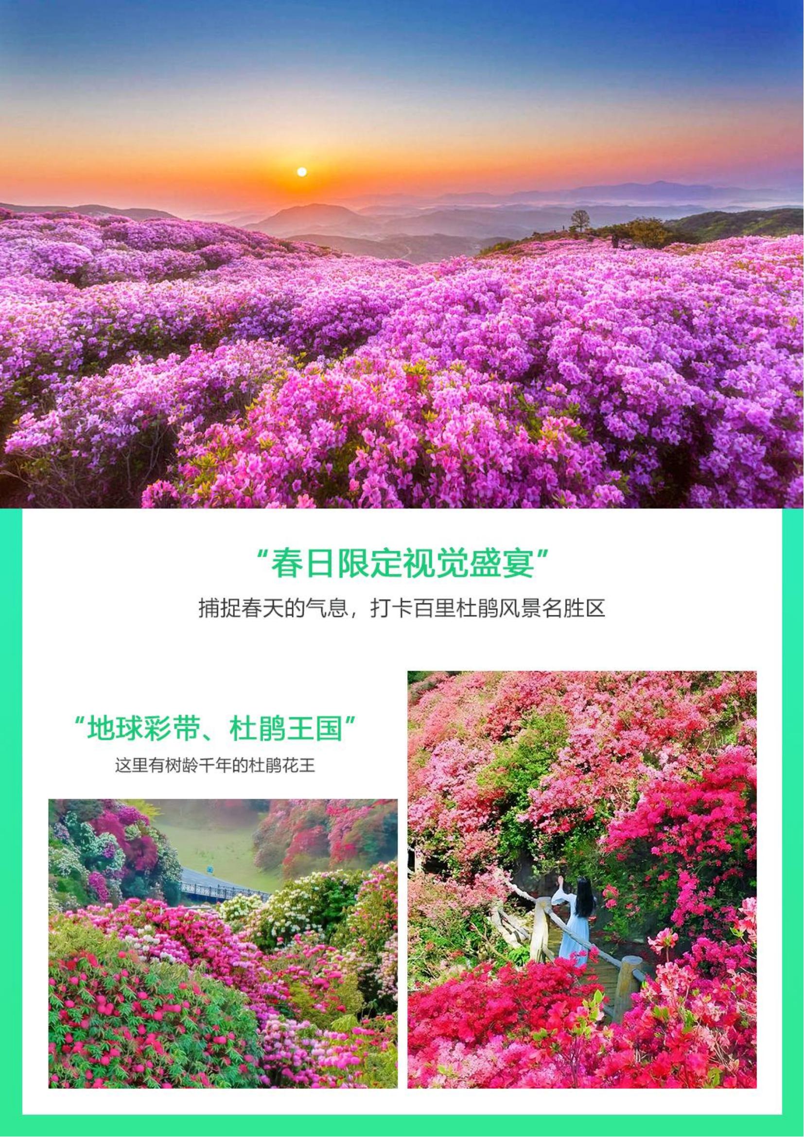 【隱世.烏江寨觀花雙景5天】青云_02