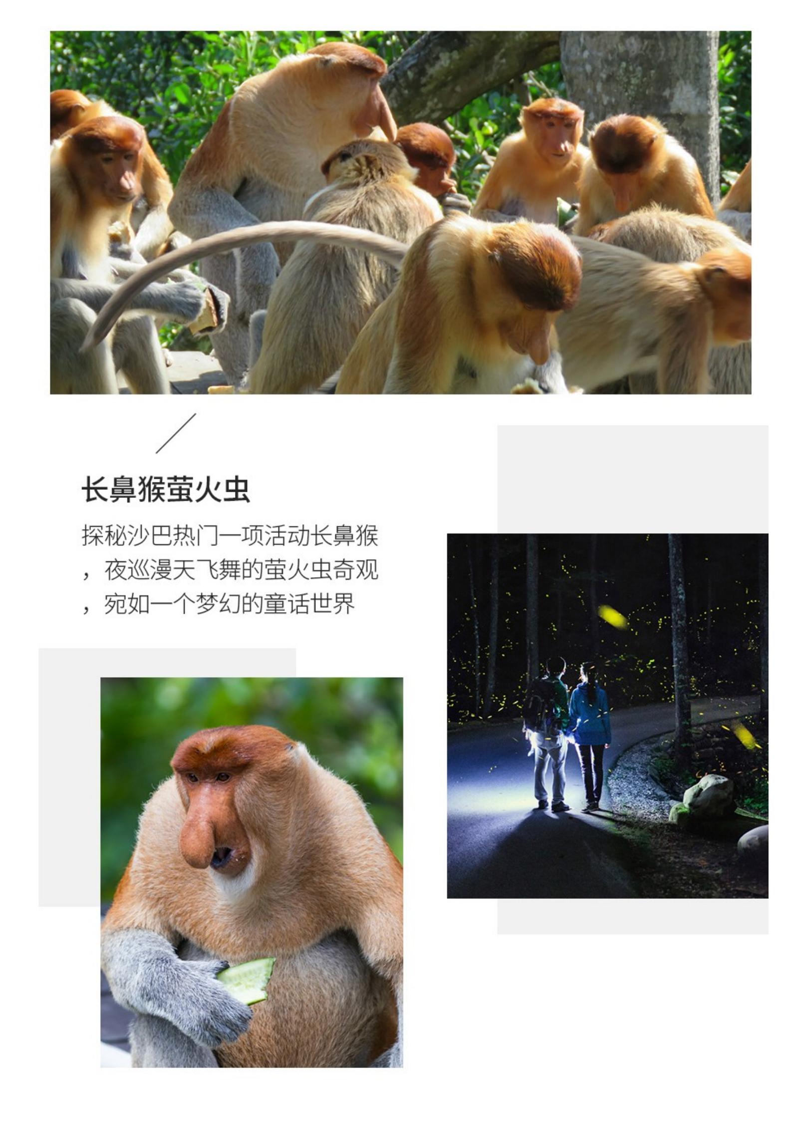 3-4月【深圳沙巴 四星純玩】玩_03