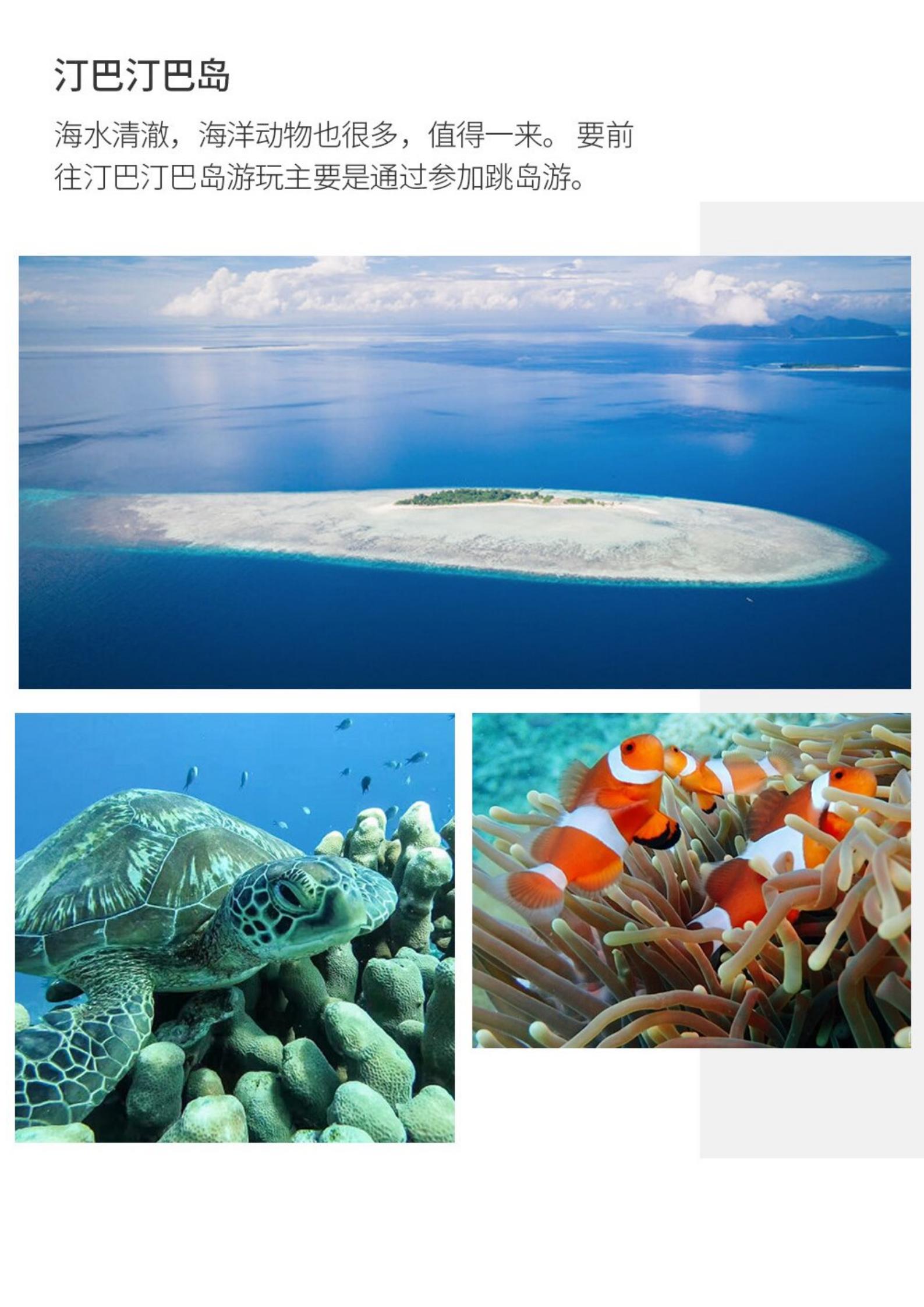 3-4月【沙巴+仙本那5天】2天_04