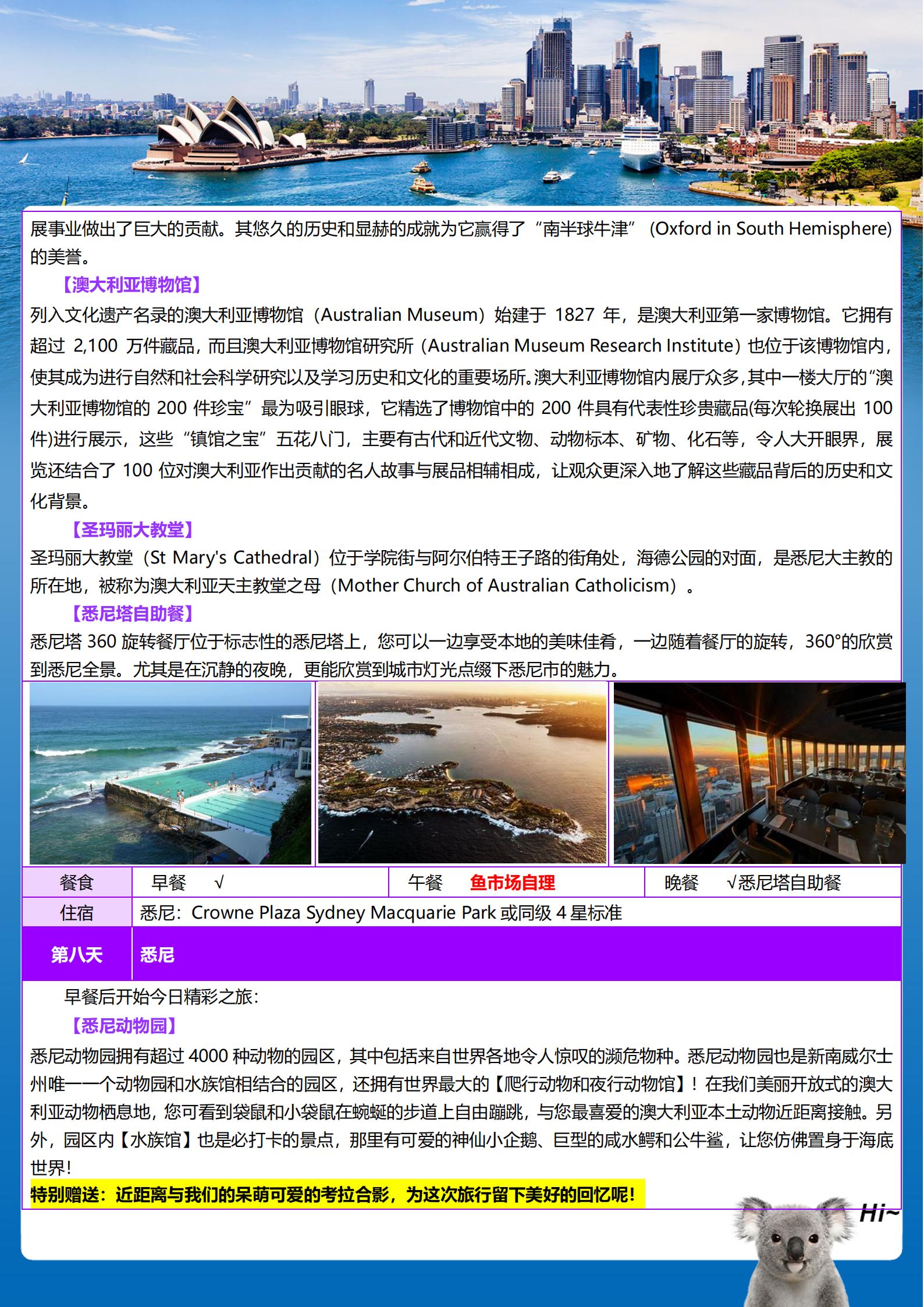 【皇牌玩家】澳大利亞東海岸海豚島_09